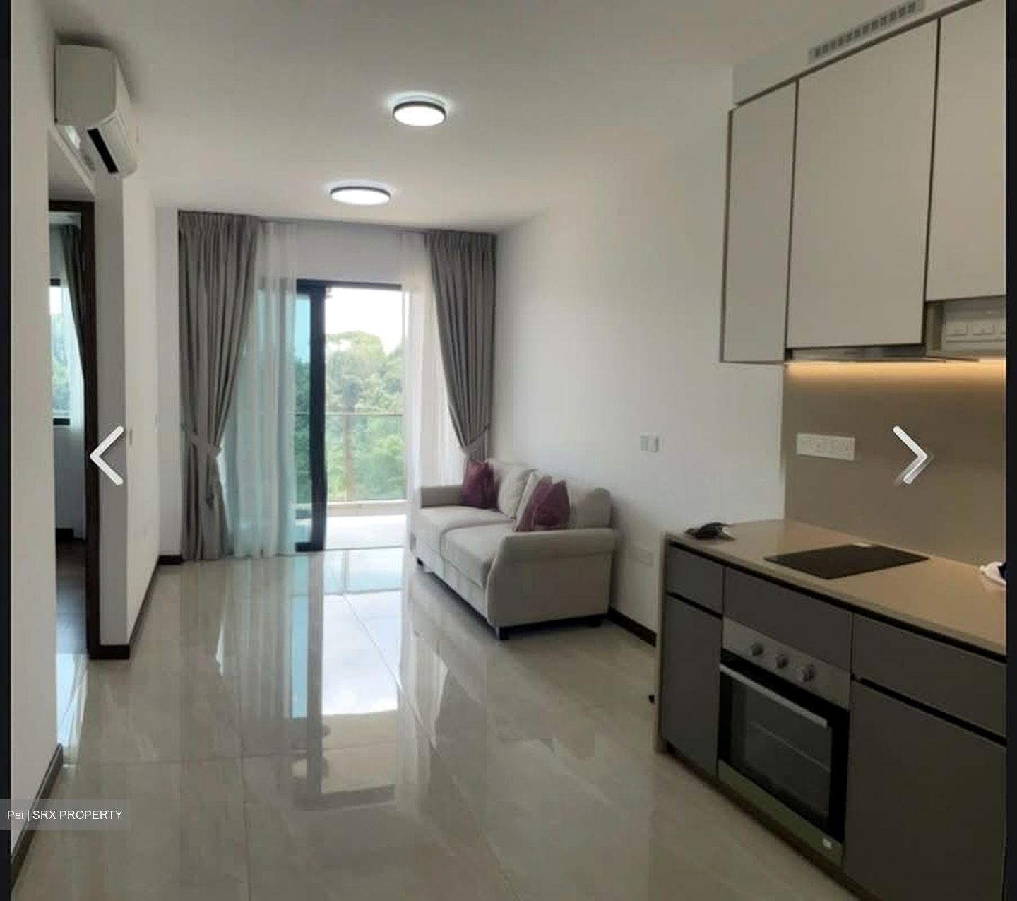 Normanton Park (D5), Apartment #552761921